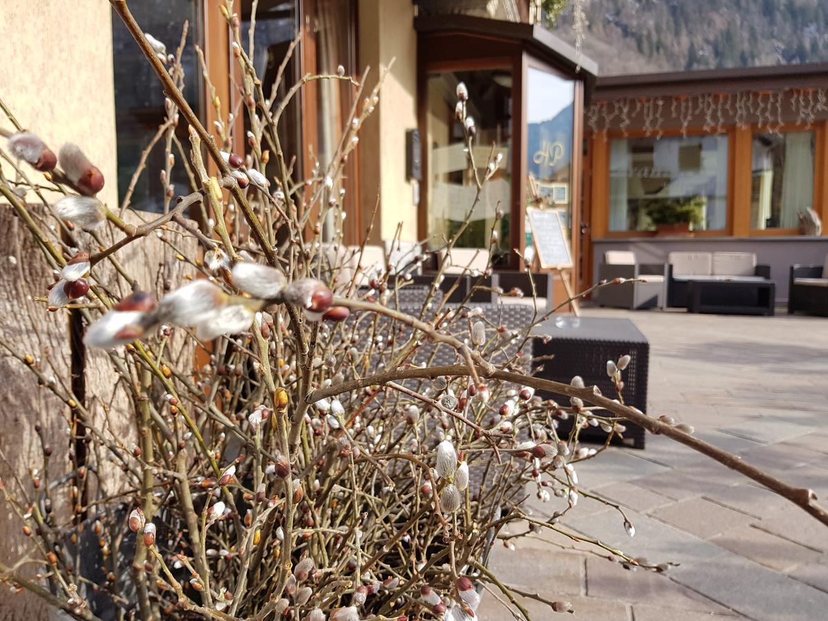 Hotel Pedretti Бранци Екстериор снимка